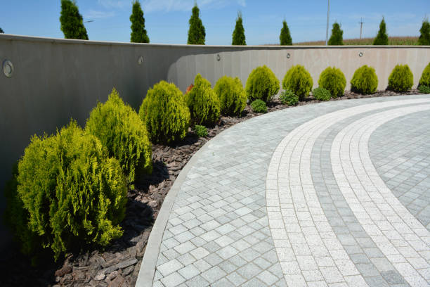 Best Brick Driveway Pavers  in Wolfe City, TX